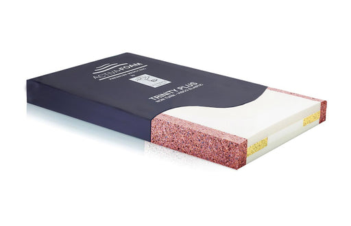 Trinity Plus Bariatric from Ulitmate Healthcare - Mobility 2 You.